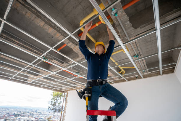 Best 24-Hour Plumber Near Me  in Galena, IL